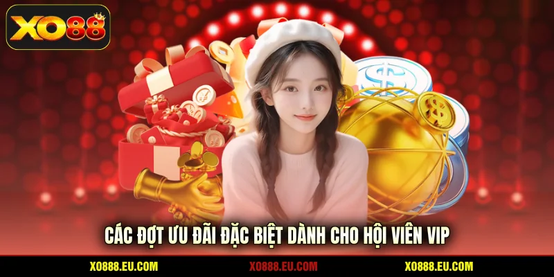 Các đợt ưu đãi đặc biệt dành cho hội viên VIP