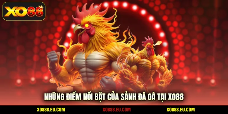 Những điểm nổi bật của sảnh đá gà tại XO88