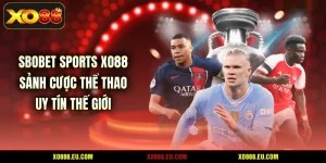 SBOBET Sports XO88 - Sảnh Cược Thể Thao Uy Tín Thế Giới
