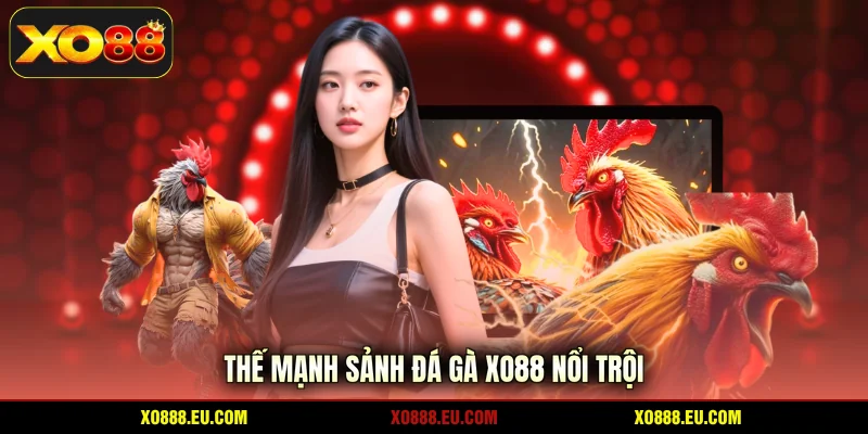 Thế mạnh sảnh đá gà XO88 nổi trội