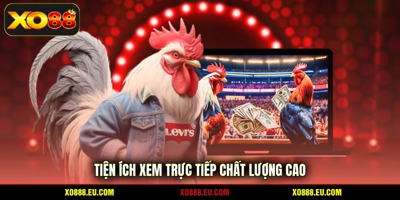 Tiện ích xem trực tiếp chất lượng cao