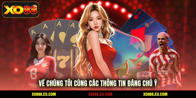Về chúng tôi cùng các thông tin đáng chú ý